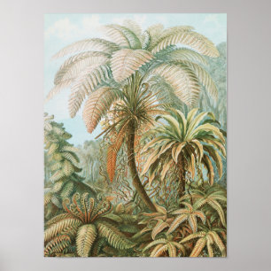  tropische palmboom, Retro botanisch Poster