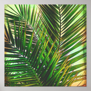 tropische palmfotokunst poster tinten groen