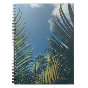 TROPISCHE PALMLIEZEN NOTITIEBOEK