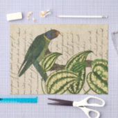  tropische papegaai tissuepapier (Craft)