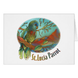 Tropische papegaai van Saint Lucia