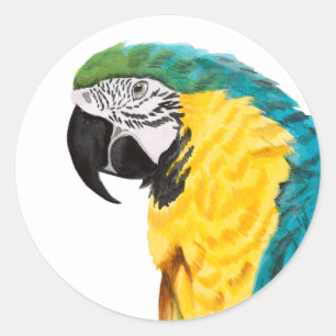 Tropische papegaaivogel ronde sticker