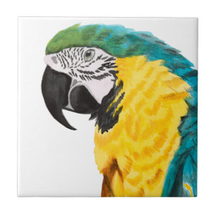 Tropische papegaaivogel tegeltje