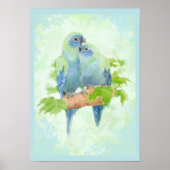 Tropische papegaaivogels met blauwe en groene Wate Poster (Voorkant)