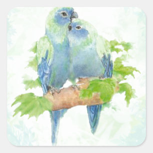 Tropische papegaaivogels met blauwe en groene Wate Vierkante Sticker