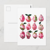 Tropische Pitaya Waterverf kunst Briefkaart (Voorkant / Achterkant)