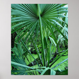 Tropische planten in zoutvijver poster