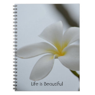 Tropische Plumeria Bloem Kauai (mijn fotografie) Notitieboek