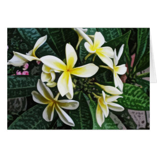 Tropische Plumeria-kaart