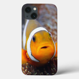 Tropische rifvis - Clownvis iPhone 13 Hoesje