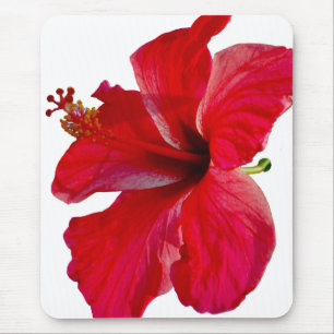 Tropische rode hibiscus-ventilator muismat