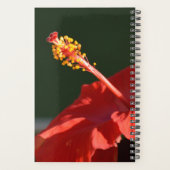 Tropische rode hibiscus-ventilator op zwart- planner (Achterkant)