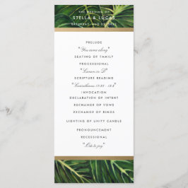 Tropische Romance II Programma