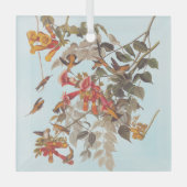 Tropische roofvogels van Audubon Glas Ornament (Voorkant)