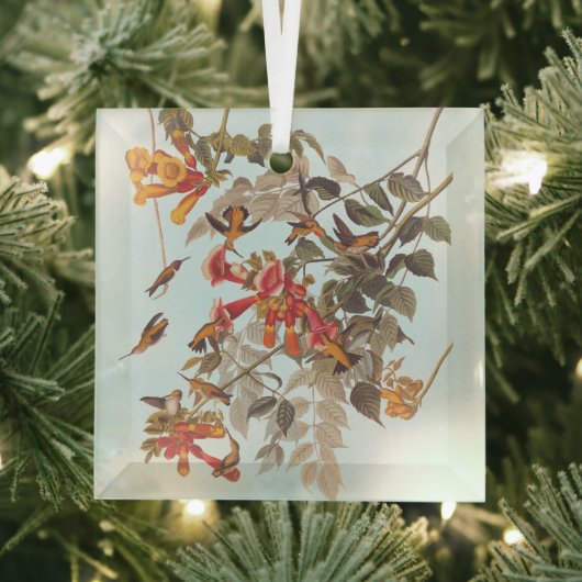 Tropische roofvogels van Audubon Glas Ornament (Insitu)