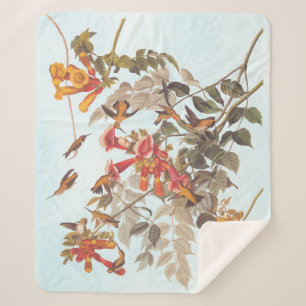 Tropische roofvogels van Audubon Sherpa Deken