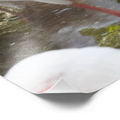 Tropische Roze Flamingo Natuur Afbeeldingen Foto Afdruk (Hoek)