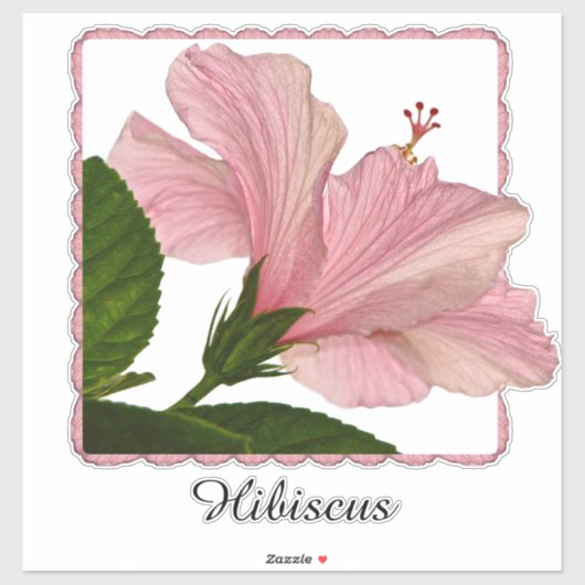 Tropische roze hibiscus Floral fotografie | Naam Sticker (Vel)