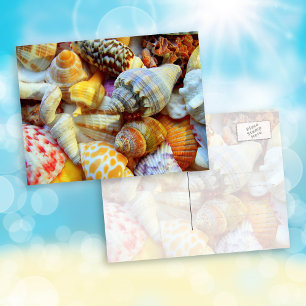 Tropische schelpen penvriend fotopostkaarten briefkaart