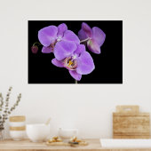 Tropische schoonheid poster (Keuken)