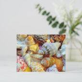 Tropische seashells Fotografie-Briefkaarten Briefkaart (Staand voorkant)