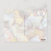 Tropische seashells Fotografie-Briefkaarten Briefkaart (Achterkant)