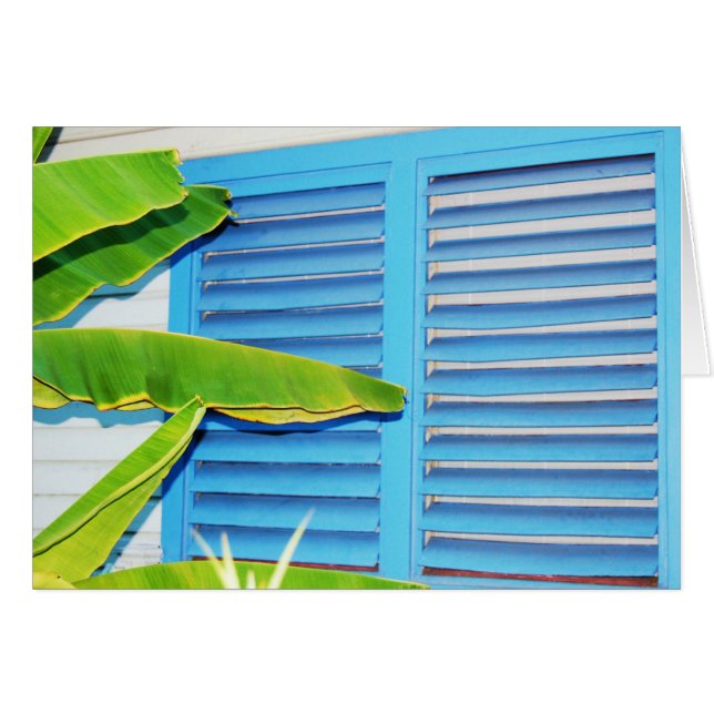 Tropische Shutters (Voorkant Horizontaal)
