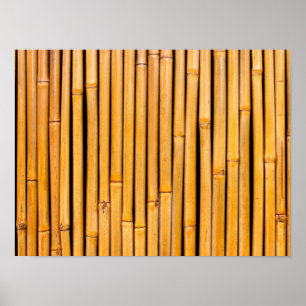 Tropische Sjabloon op de achtergrond van Hawaiian  Poster