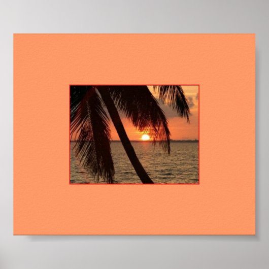 Tropische Splendor Poster (Voorkant)