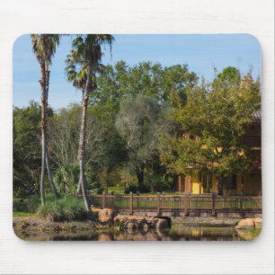 Tropische Springs Paradise Muismat