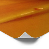 Tropische sterveling poster (Hoek)