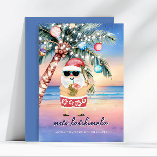 Tropische strandpalmboom Kerstman Kerstmis Feestdagenkaart
