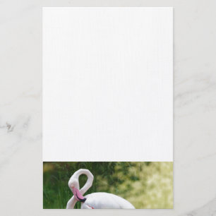 Tropische strandvogels Destiny Flamingo's Briefpapier