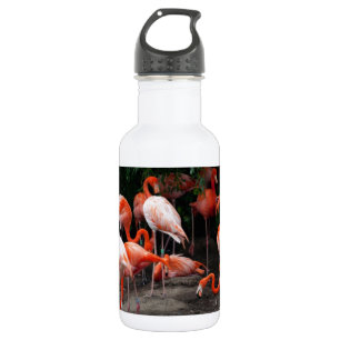 Tropische strandvogels Destiny Flamingo's Waterfles