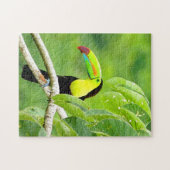 Tropische Toucan-puzzel Legpuzzel (Horizontaal)