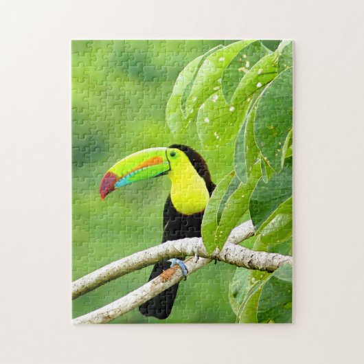 Tropische Toucan-puzzel Legpuzzel (Verticaal)