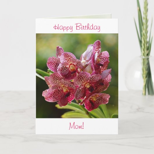 Tropische Vanda Orchid Birthday Card Kaart (Voorkant)