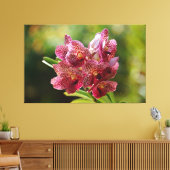 Tropische Vanda Orchidee Canvas Afdruk (Insitu (Woonkamer))