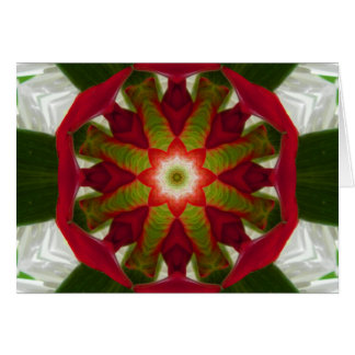 Tropische ventilator Mandala