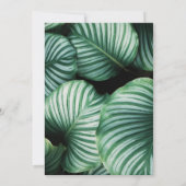 Tropische verloven moderne pensioenpartij kaart (Achterkant)