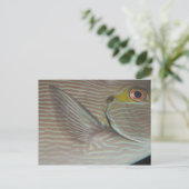 tropische vis briefkaart (Staand voorkant)