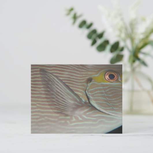 tropische vis briefkaart (Staand voorkant)