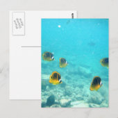 Tropische vis in Hawaï Briefkaart (Voorkant / Achterkant)