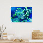 Tropische vis in mooie blauwogen en groene ogen poster (Keuken)