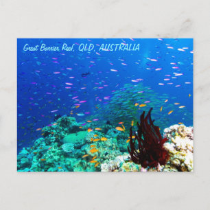 Tropische vis op het Great Barrier Reef Briefkaart