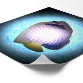 Tropische vis poster (Hoek)