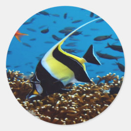 Tropische vis ronde sticker