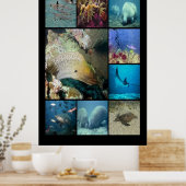 Tropische vissen Aquatisch leven Poster (Keuken)