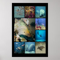 Tropische vissen Aquatisch leven