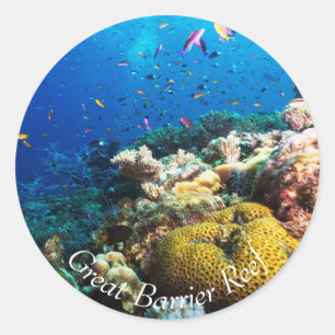 Tropische vissen op het Great Barrier Reef Ronde Sticker